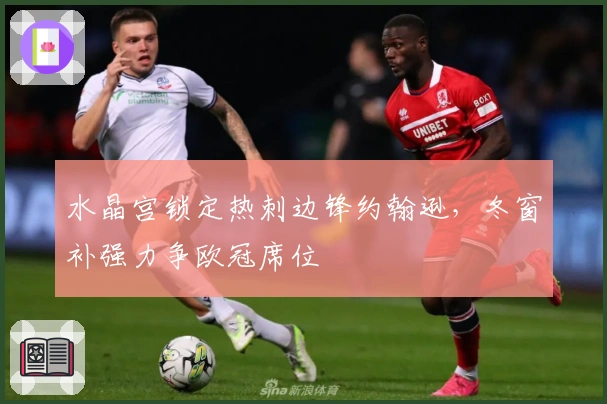 水晶宫锁定热刺边锋约翰逊，冬窗补强力争欧冠席位