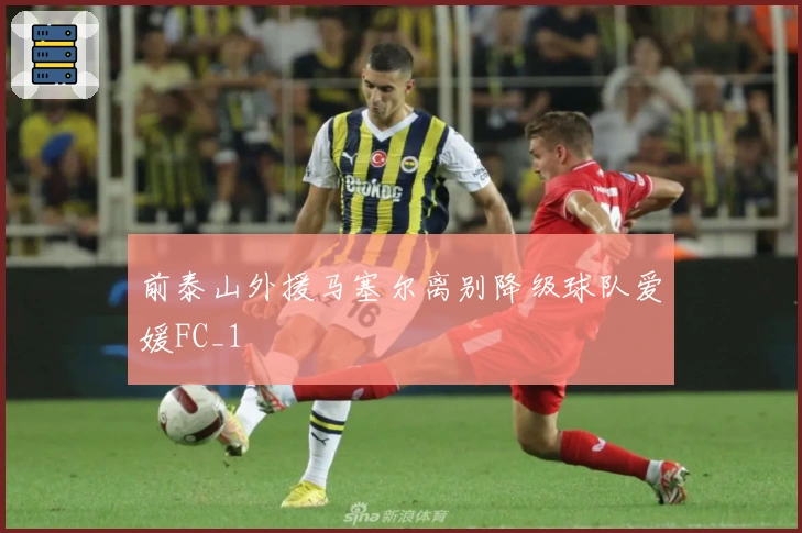 前泰山外援马塞尔离别降级球队爱媛FC_1
